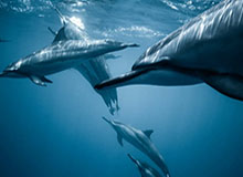 MK体育平台-im电竞下载：引领电竞资源的高效获取与体验革新